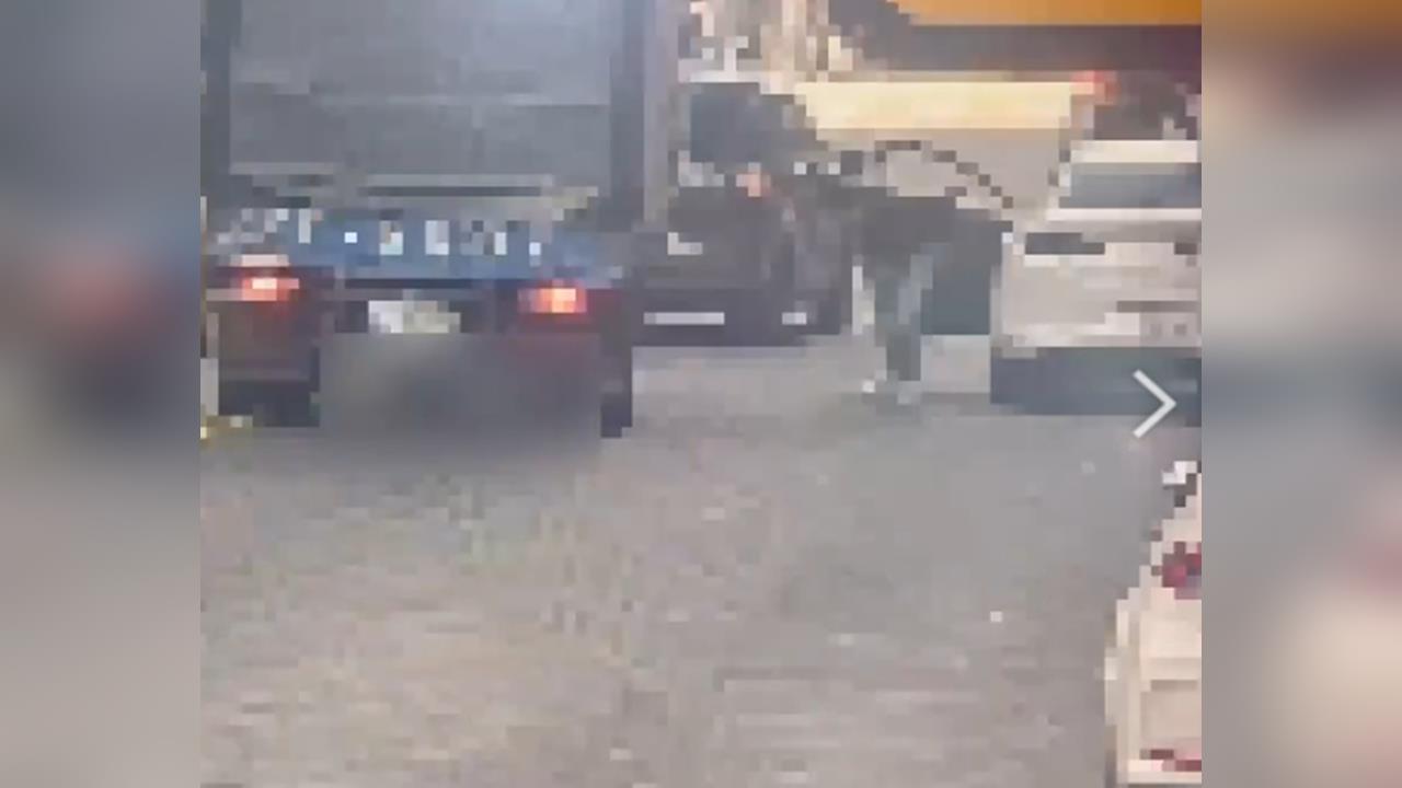 北市男疑酒後開車拒測咆哮　遭警方帶回管束竟驗出毒駕