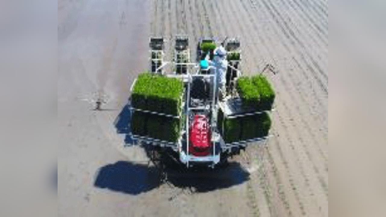 中東戰火衝擊能源　日相：石油夠用到明年初