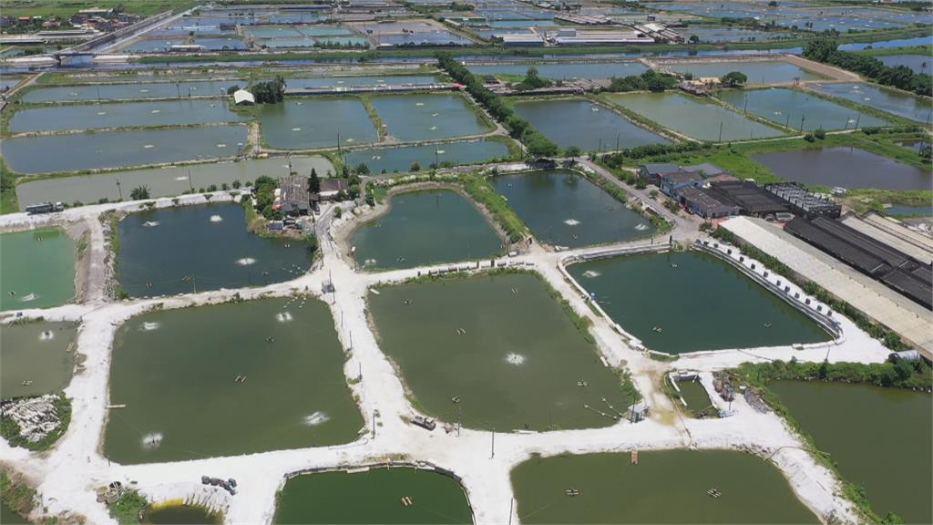 氣候劇變農災增 農委會「農業保險」照顧農民