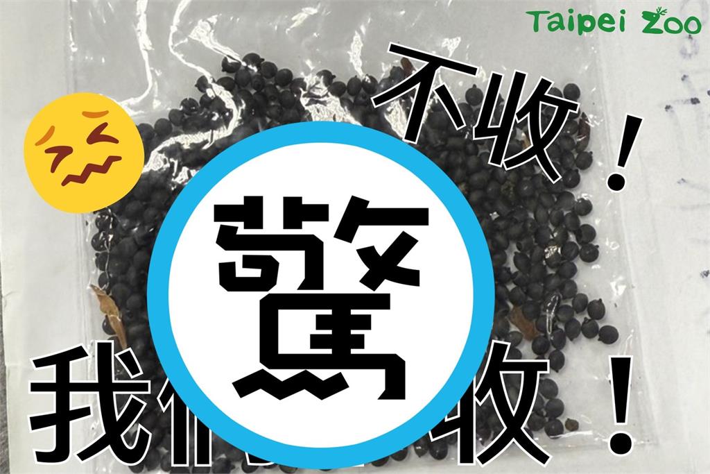 北市動物園收到「詭異神祕信件」　園方急呼籲不收：不要寄給別人！