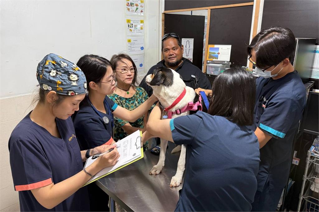 快新聞／台灣動物絕育經驗走向國際！　中興大學「浪愛無國界」推展獸醫外交