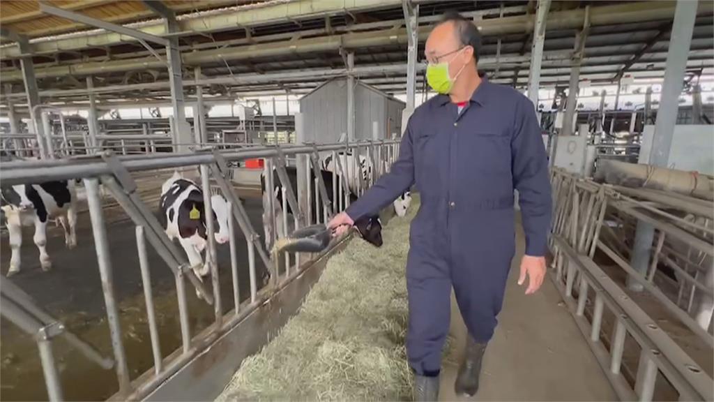 進口飼料漲不停　酪農業盼提高生乳收購價