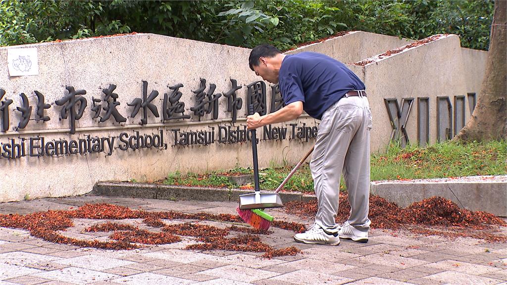 掃把當畫筆！　國小警衛「鳳凰花排畫」一票人讚：被耽誤的藝術家