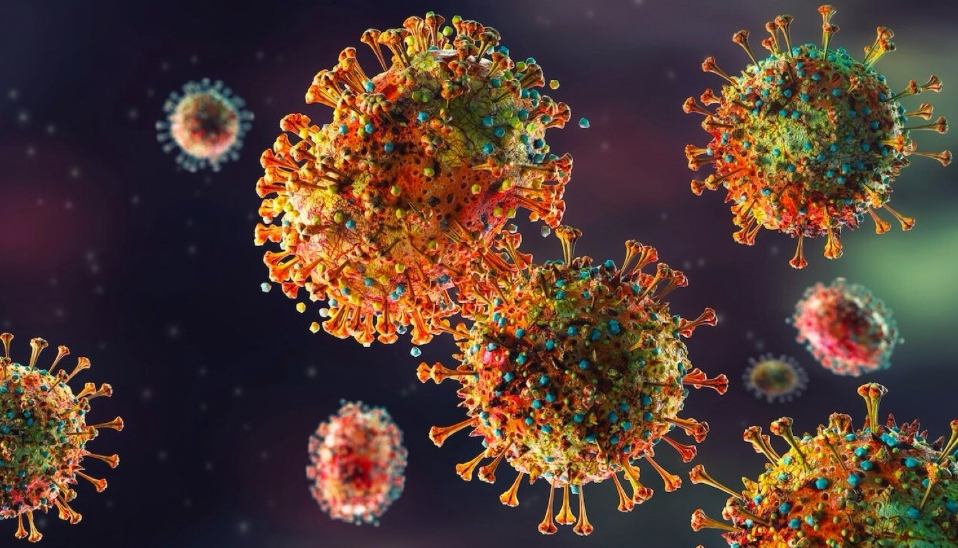 又發現新病毒⋯來自這動物！科學家憂恐「人畜共通」致死率高達70％