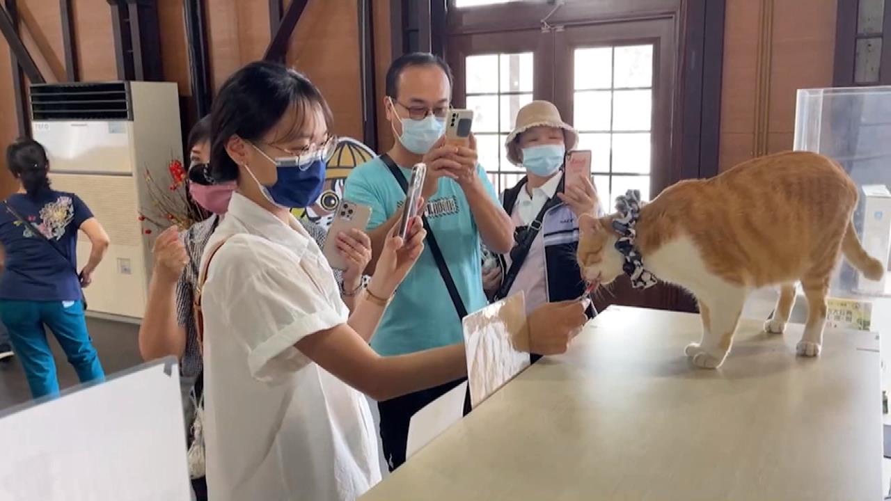 鼓勵民眾設籍集集！　南投鎮公所發5千獎金搶救人口危機