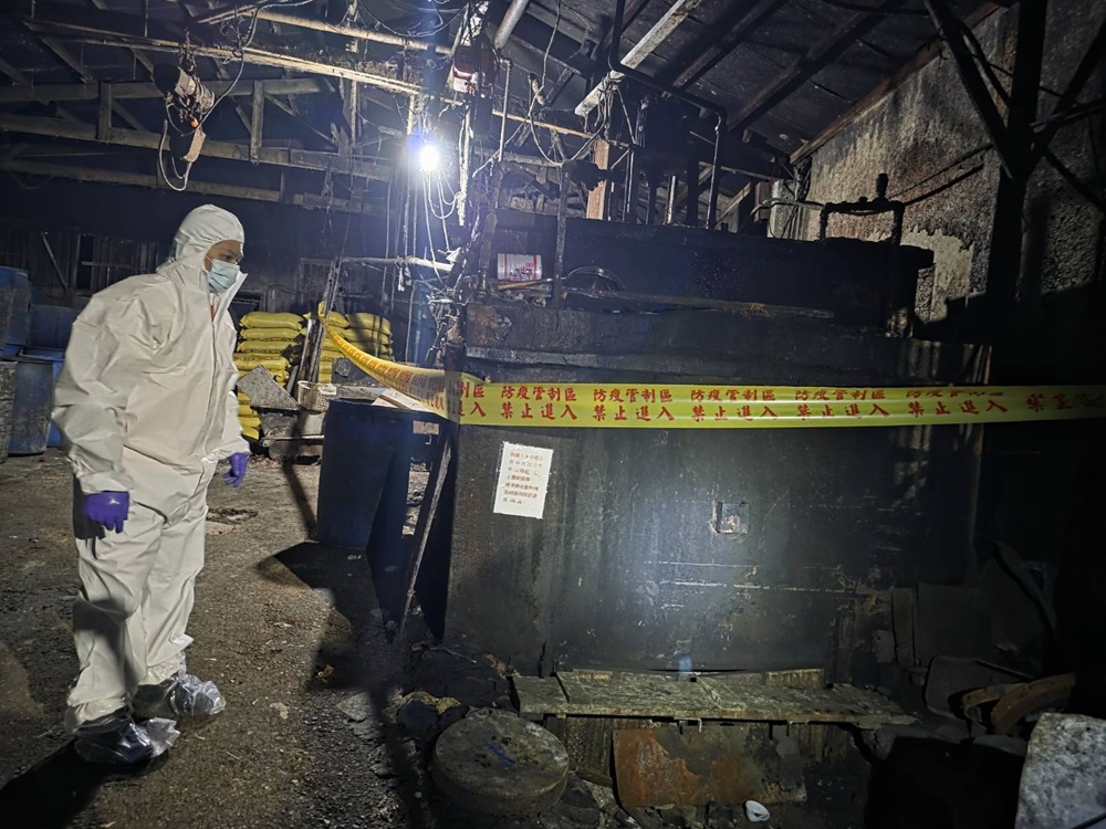 查獲養豬場餵飼廚餘 新北市府封鎖廚餘槽依法嚴懲