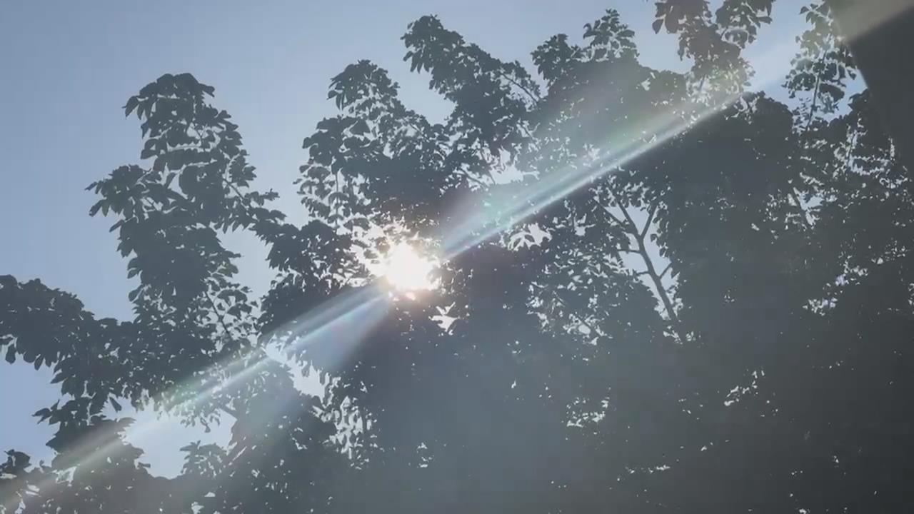 蹭冷氣？高雄男到咖啡廳沒消費　業者控：還帶外食