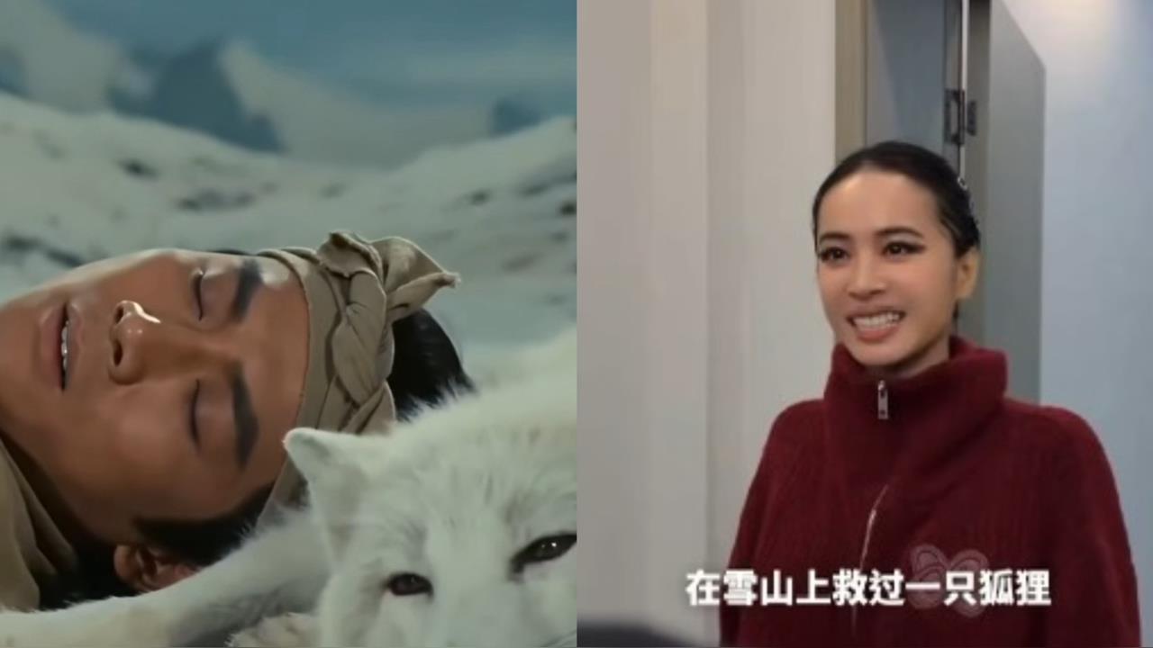 蔡依林也來「雪山救狐狸」？AI暴紅短片遭瘋傳連中國官方都淪陷！