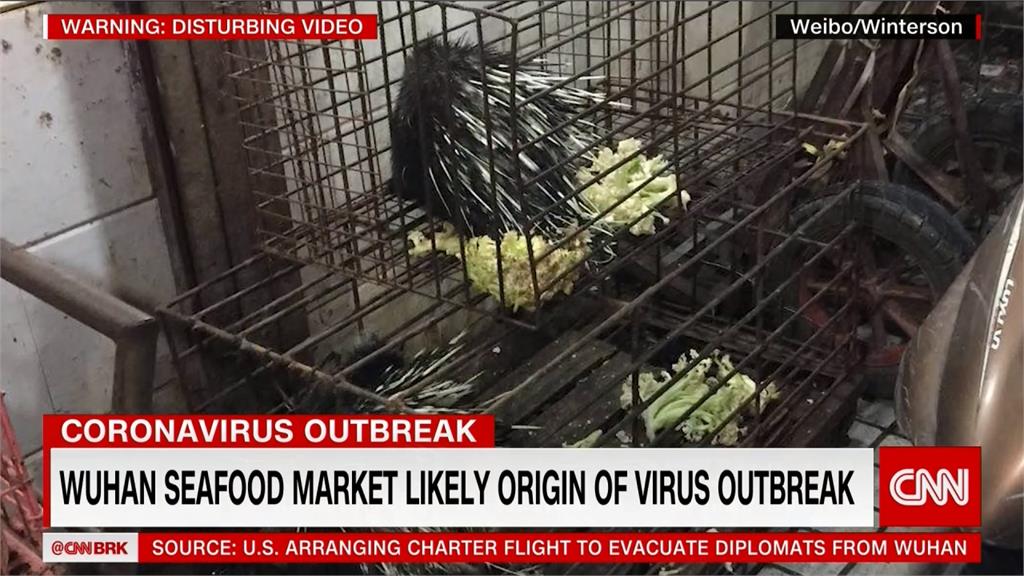 沒記取教訓！中國今宣布禁賣野生動物 只維持到疫情結束