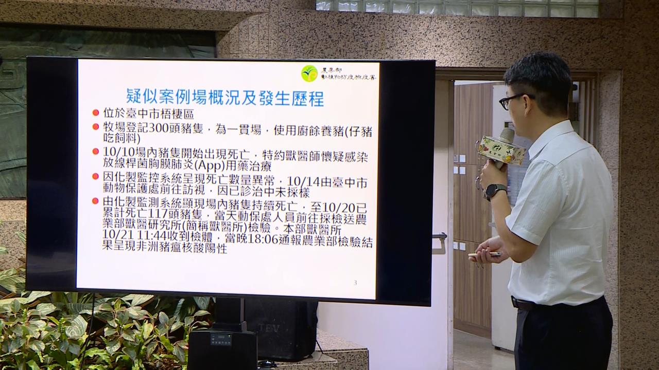 疑首例「本土非洲豬瘟」 農業部:5天禁載運宰殺、禁廚餘餵養