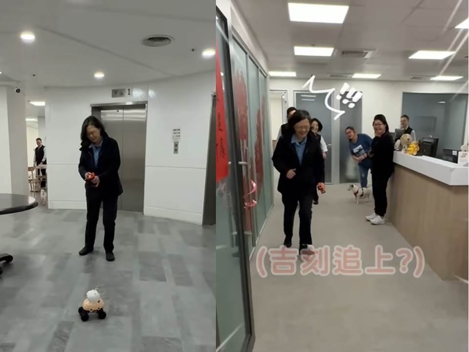 快新聞／辦公室飆車！蔡英文把吉伊卡哇燈籠改裝成遙控車　小跑步追車畫面曝