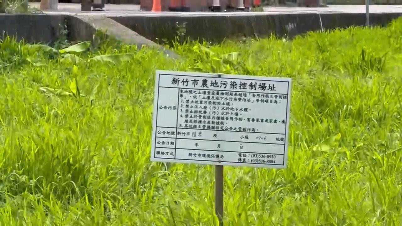 新竹汞稻米污染起訴4人 議員控市府「蓋牌」