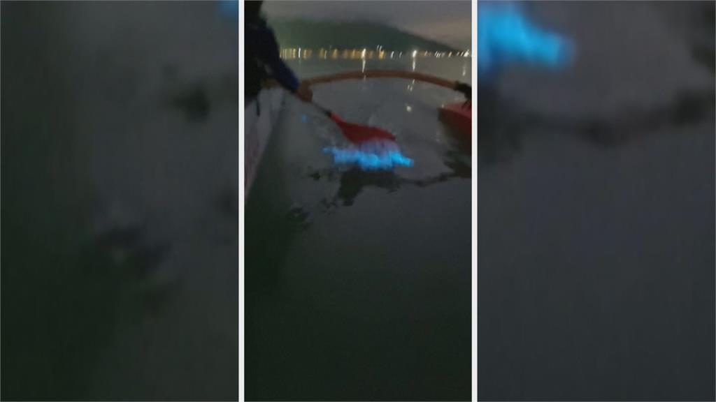 氣變遷警訊！巴西現藍眼淚　海面閃耀藍光吸引遊客