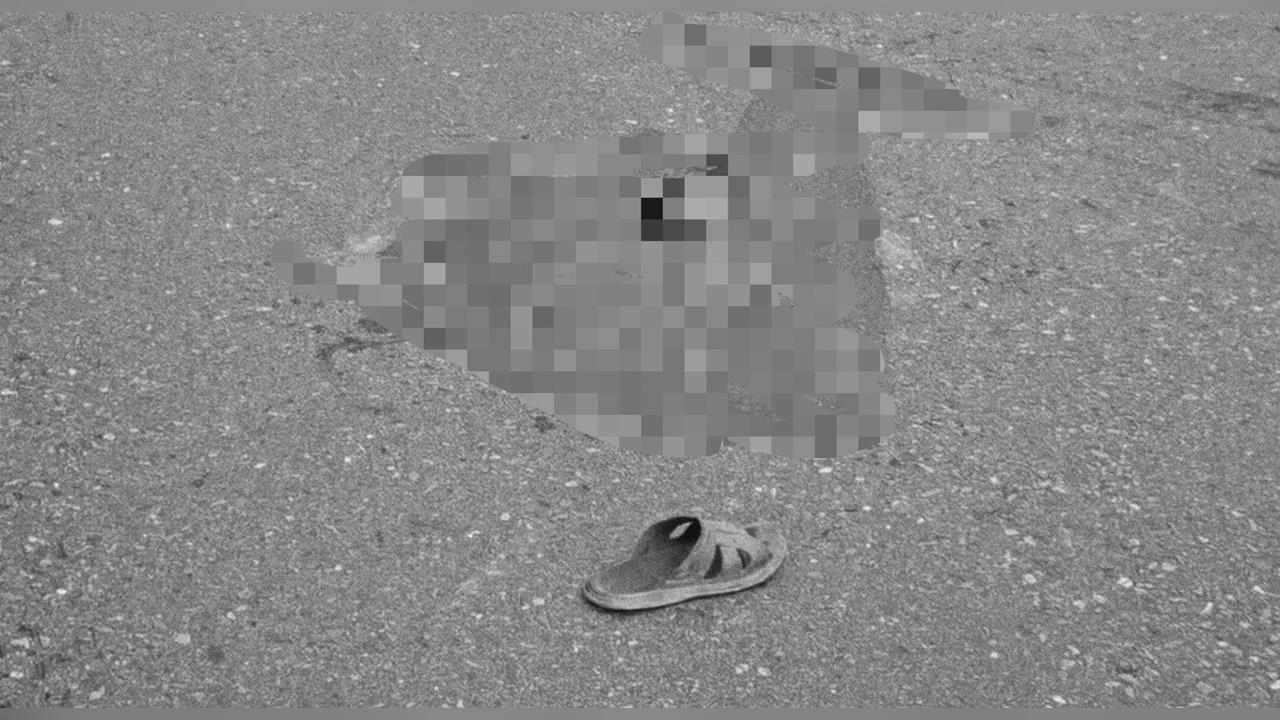 快新聞/宜蘭79歲男慘死!騎單車突左偏遭砂石車捲車底 現場血跡畫面曝