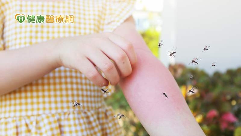 今年首例本土登革熱出現！蚊媒傳染病進入流行期　端午後注意4防蚊措施