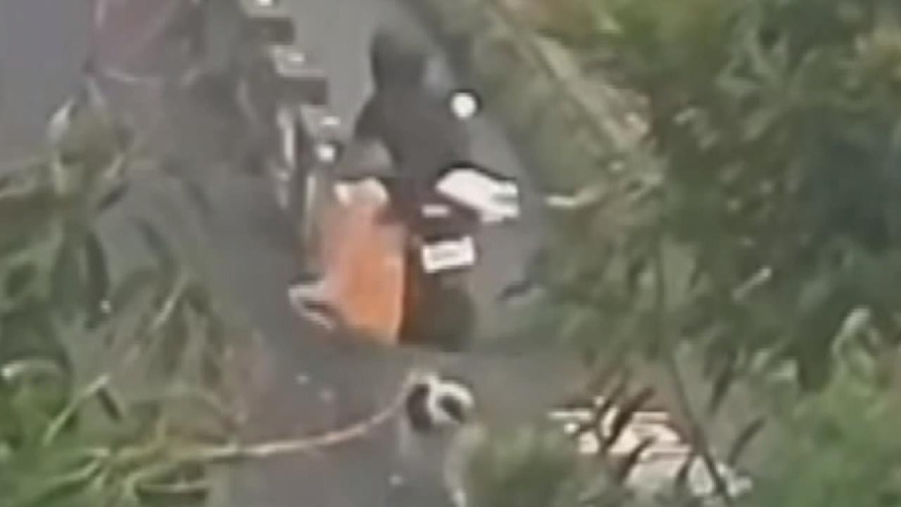 "漏網之狗"肇事逃逸! 國中生遭狗追自撞 慘噴飛摔進溝