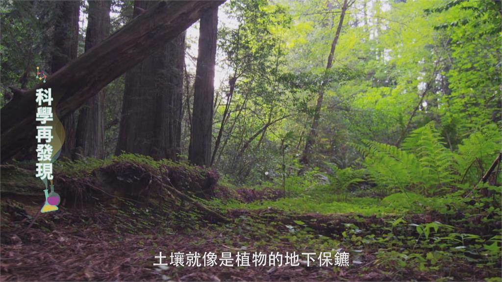 恢復土壤原貌維護健康　達到永續農業