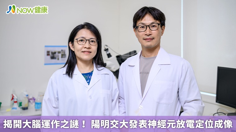 揭開大腦運作之謎！ 陽明交大發表神經元放電定位成像