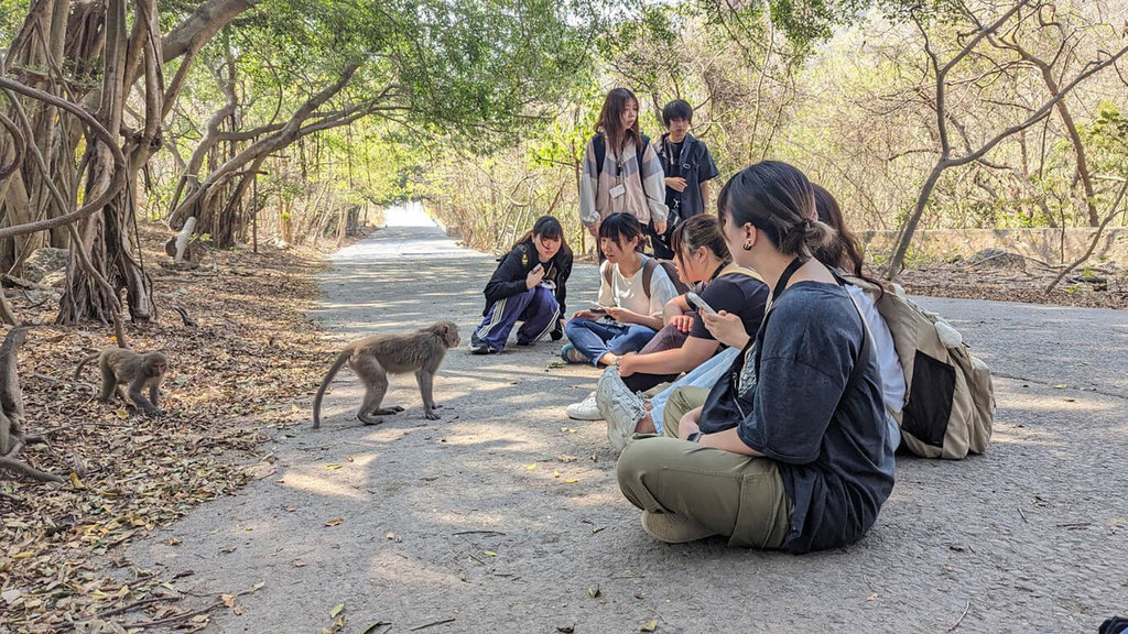 日本交換生高雄柴山找獼猴　猴子這習性最驚訝