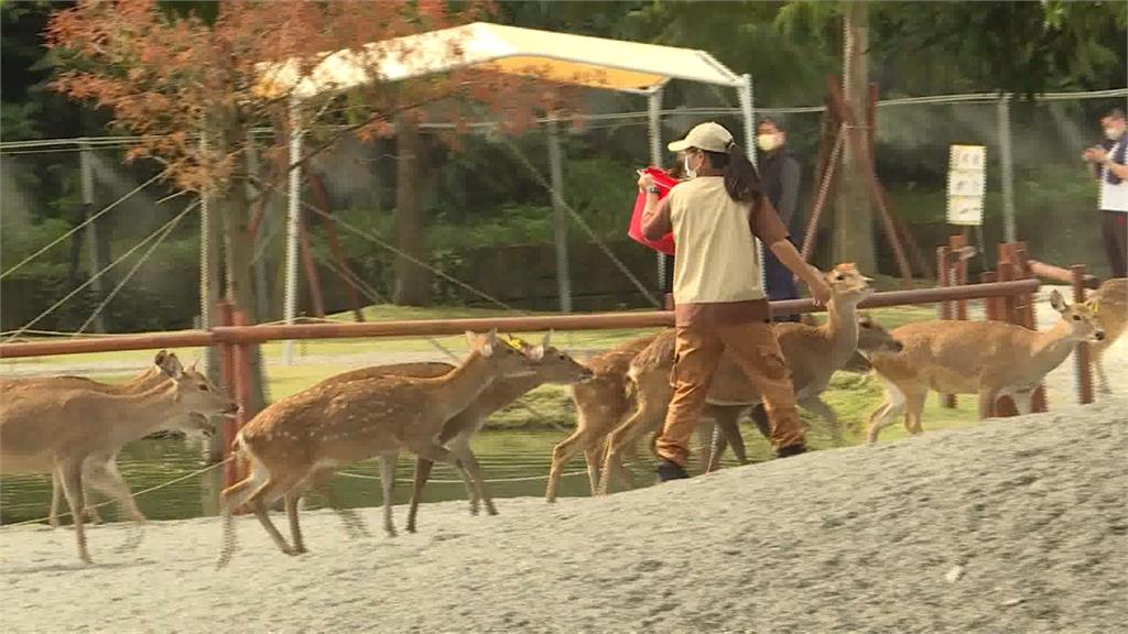 動物照護失當頻傳　宜蘭休閒農場實踐友善精神