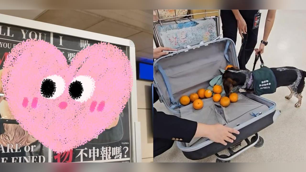 桃機檢疫犬「I 吸 YOU」宣導海報暴紅！超萌反差引80萬人圍觀