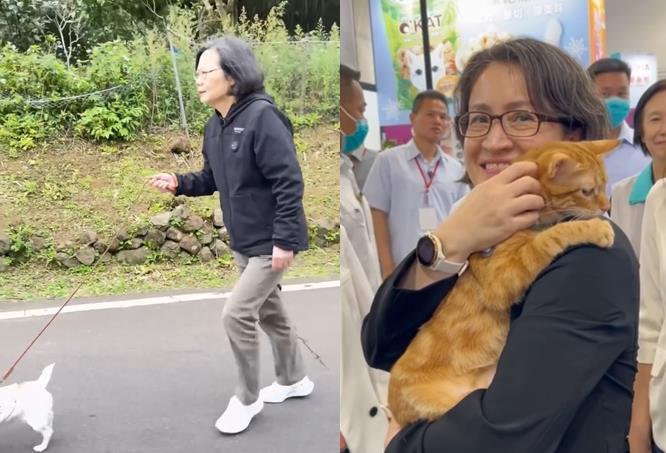 快新聞／和毛小孩走春蕭美琴好羨慕！　蔡英文遞邀請：下次我們一起去爬山