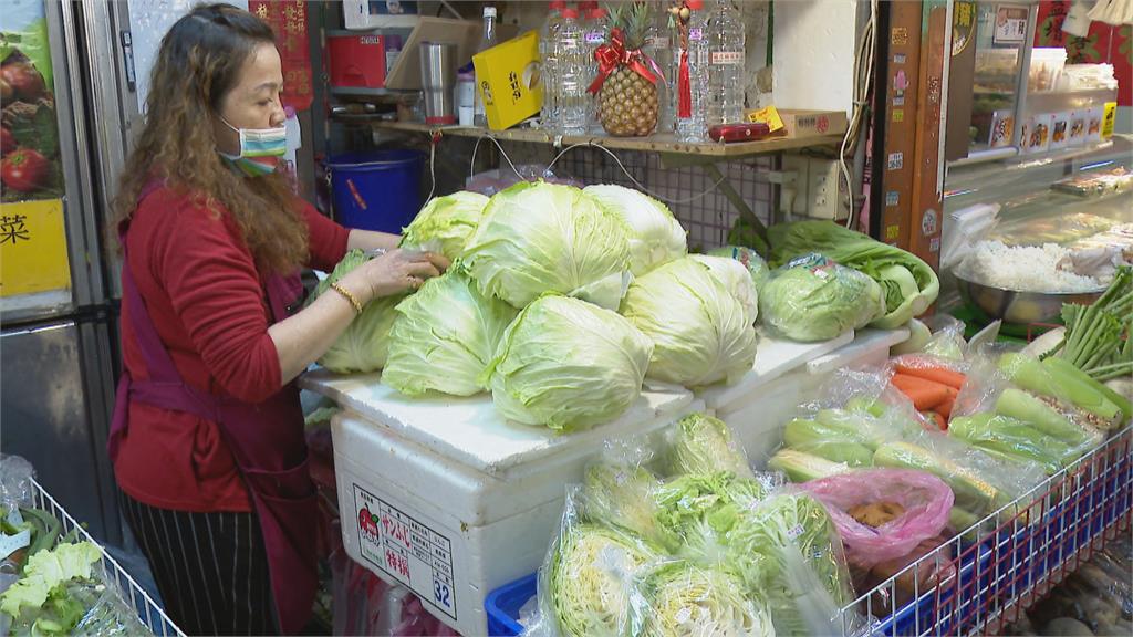 直逼成本價！高麗菜盛產過量價格大跌