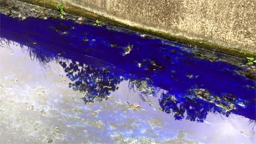 新竹現「藍色多瑙河」　整條溝渠染成寶藍色