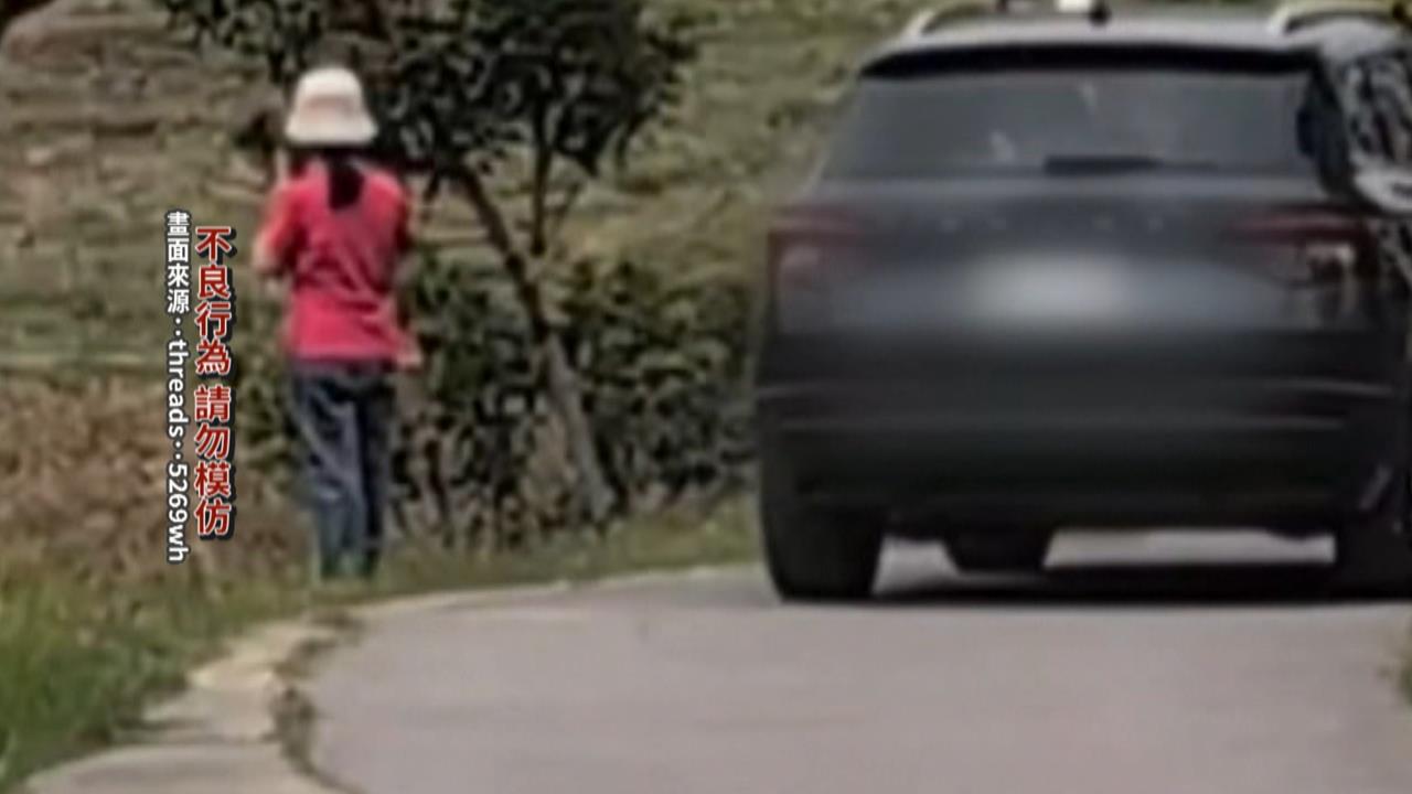 休旅車直闖中央公園！　散步民眾嚇傻　建設局依法開罰