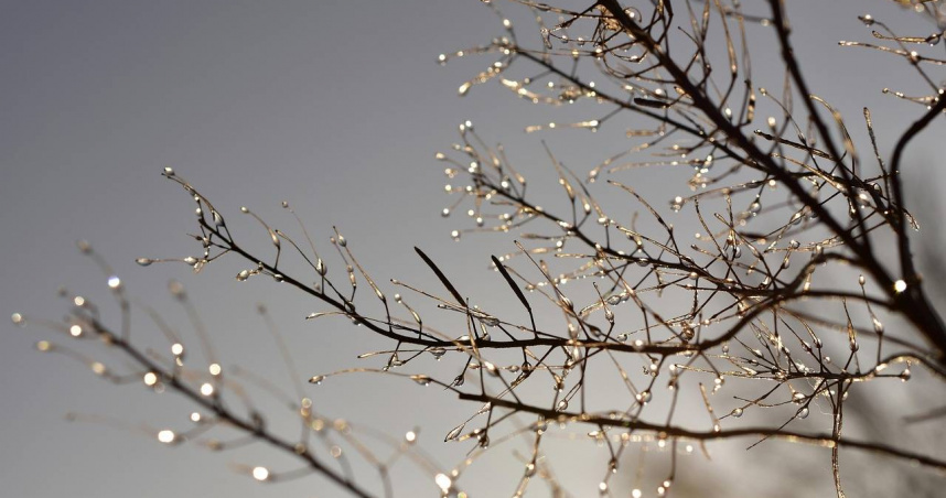 今立冬財氣聚集!3生肖財神眷顧貴人運旺