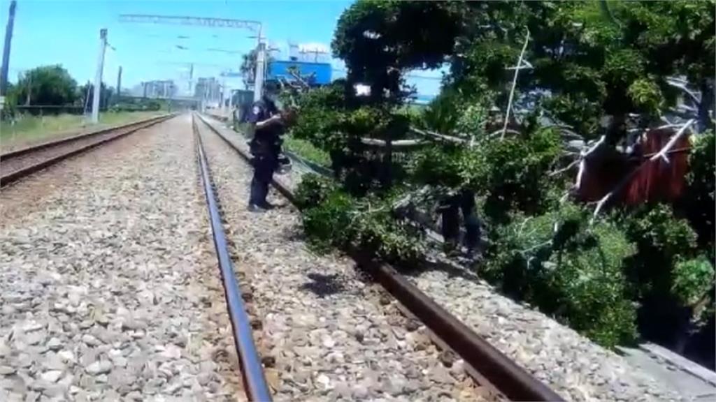 嚇冷汗！強風吹大樹倒鐵軌　列車驚險剎停