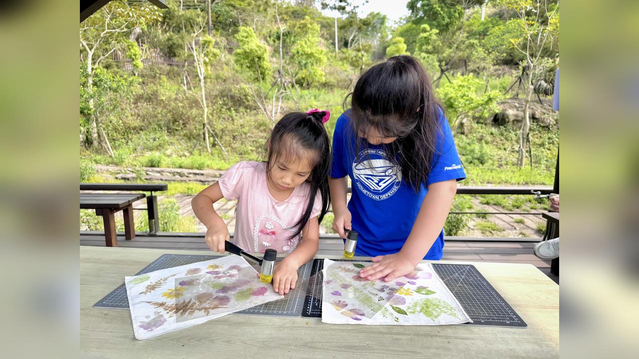 阿里山腳下親子賞螢熱點　美食×體驗×夜間生態一次玩