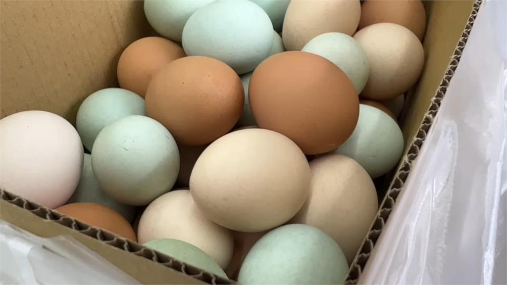 涉嫌換標賣過期雞蛋 ！不肖業者遭查獲170箱 疑企圖影響雞蛋價格