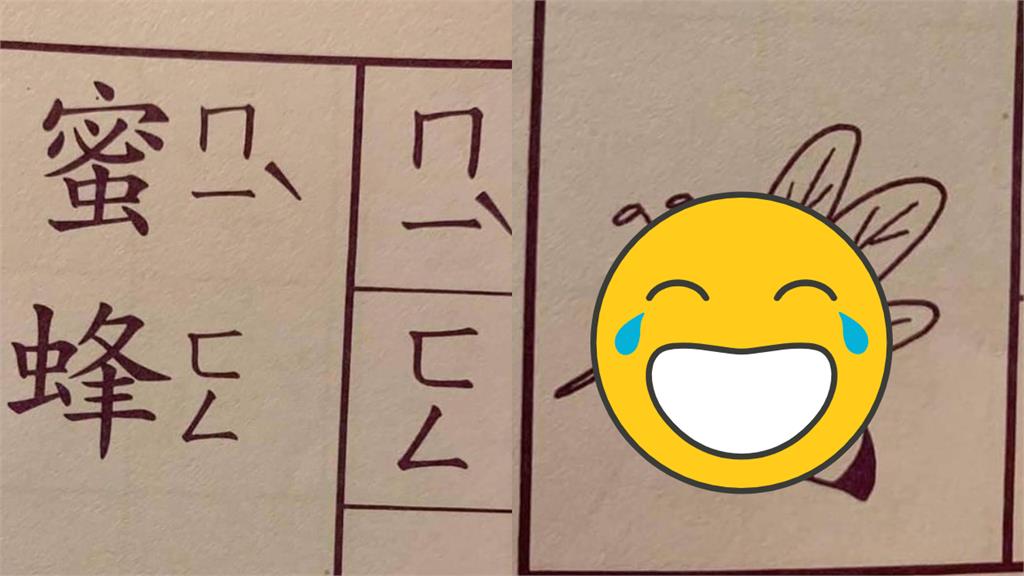 蜜蜂、蚊子傻傻分不清？國文作業「插圖」網笑：生物老師會傻眼