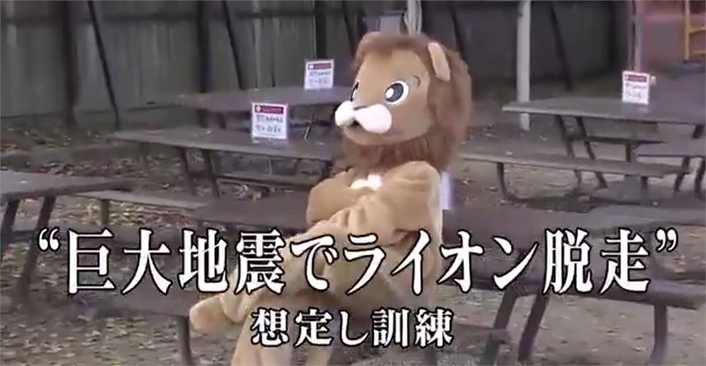 大地震獅子脫逃怎麼辦？　工作人員賣力扮獅逼真演練