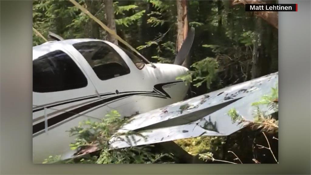 小飛機故障迫降森林 駕駛全程拍攝事發過程