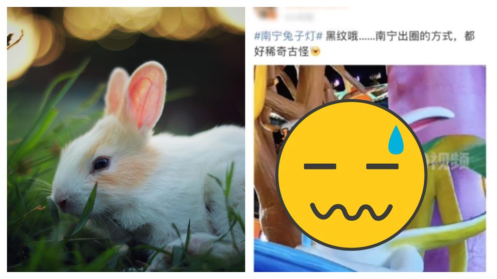 中國兔子燈妖氣外露「醜到暴紅」！網笑「不羊不兔」主辦方自信回：醜美