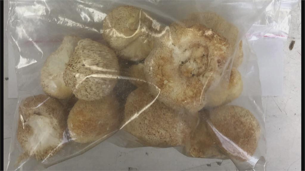 中國猴頭菇農藥超標　食藥署下令禁止輸台1個月
