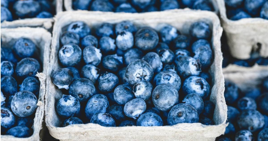 女子狂嗑藍莓「胃長石頭」痛到送急診　醫示警4族群別亂吃