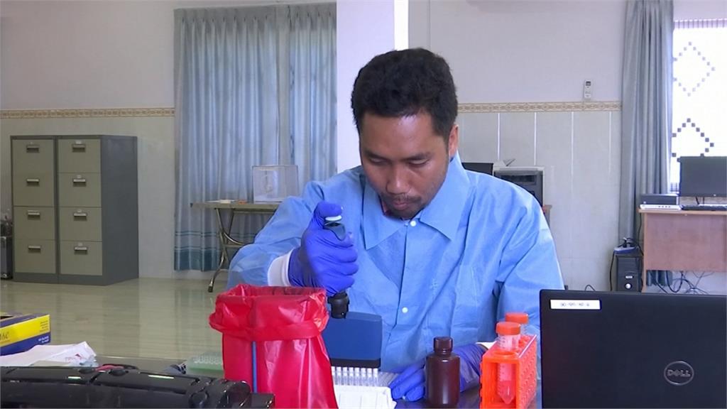 柬埔寨研發「瘧蚊唾液」疫苗 有望預防相關傳染病