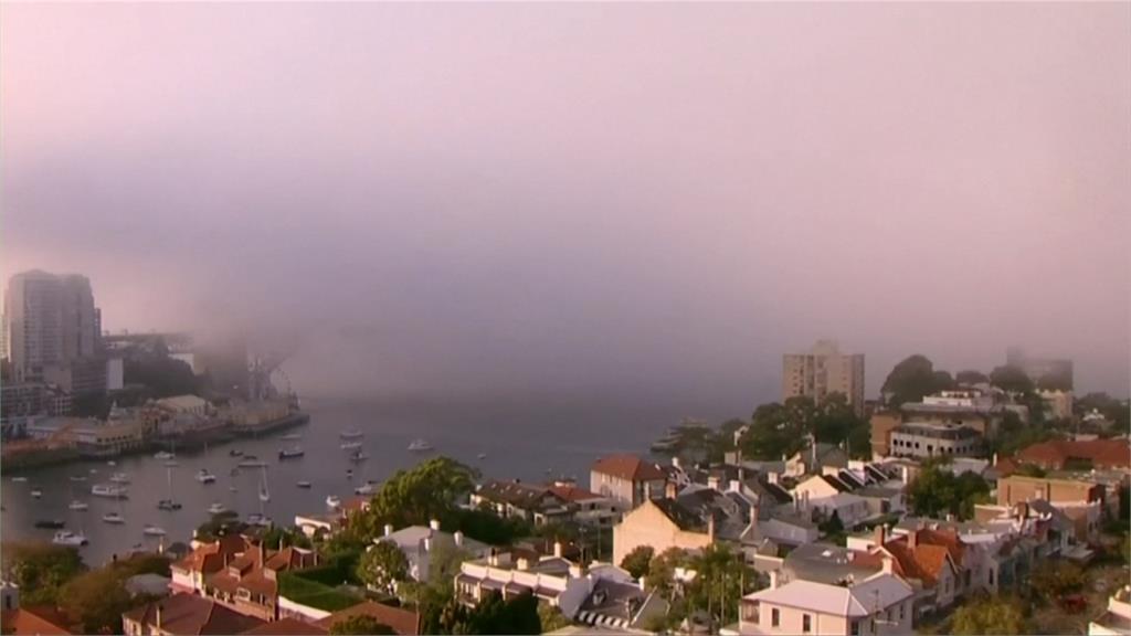 秋冬髒空氣襲雪梨　歌劇院和港灣大橋消失