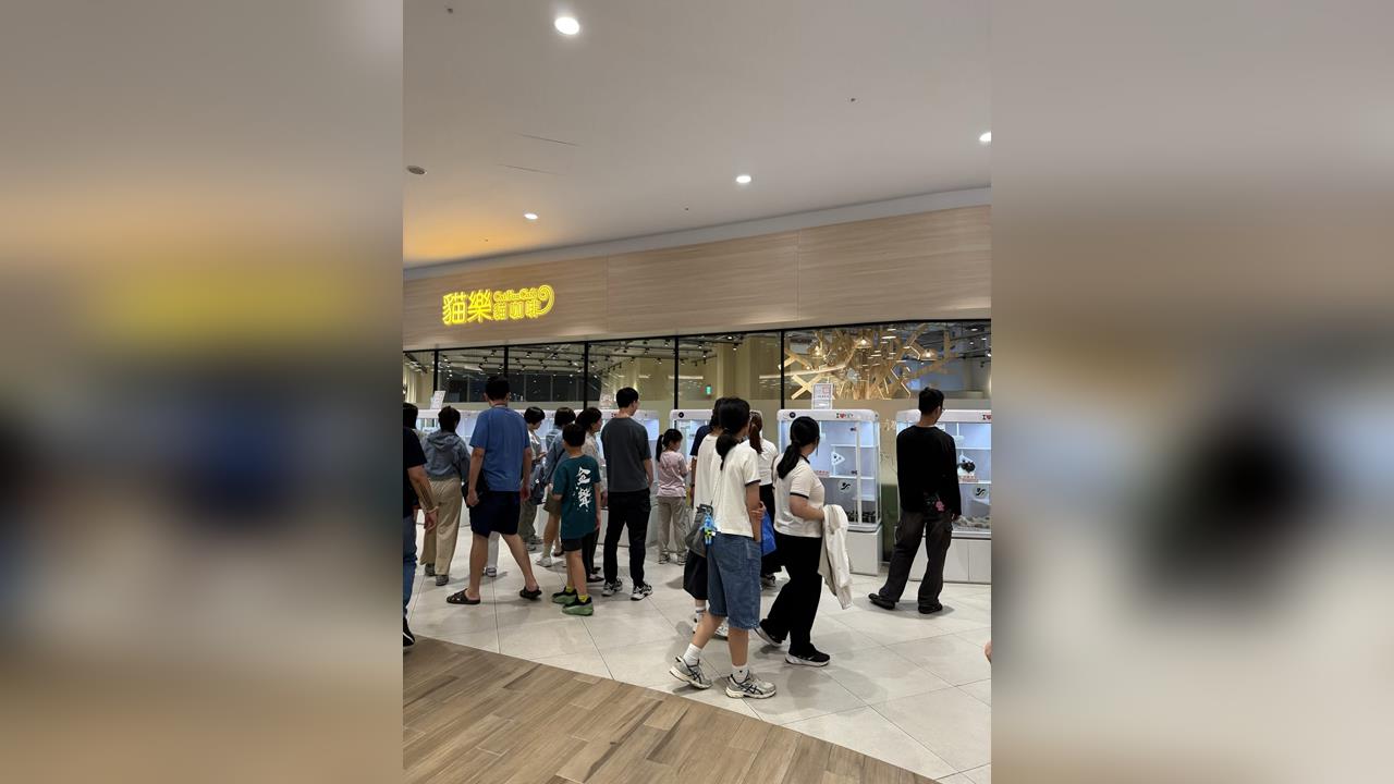 快新聞／貓咪嚇壞！小孩猛拍打LaLaport貓咖櫥窗　台中動保處回應了