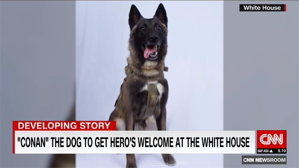 追捕IS領袖一戰成名!「軍犬柯南」進白宮見川普
