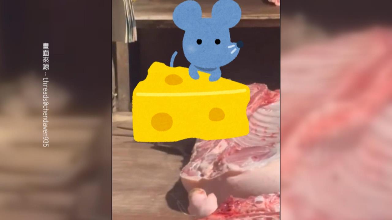 噁！　豬肉攤「米奇吃尾牙」　民眾直擊成群老鼠啃食豬肉