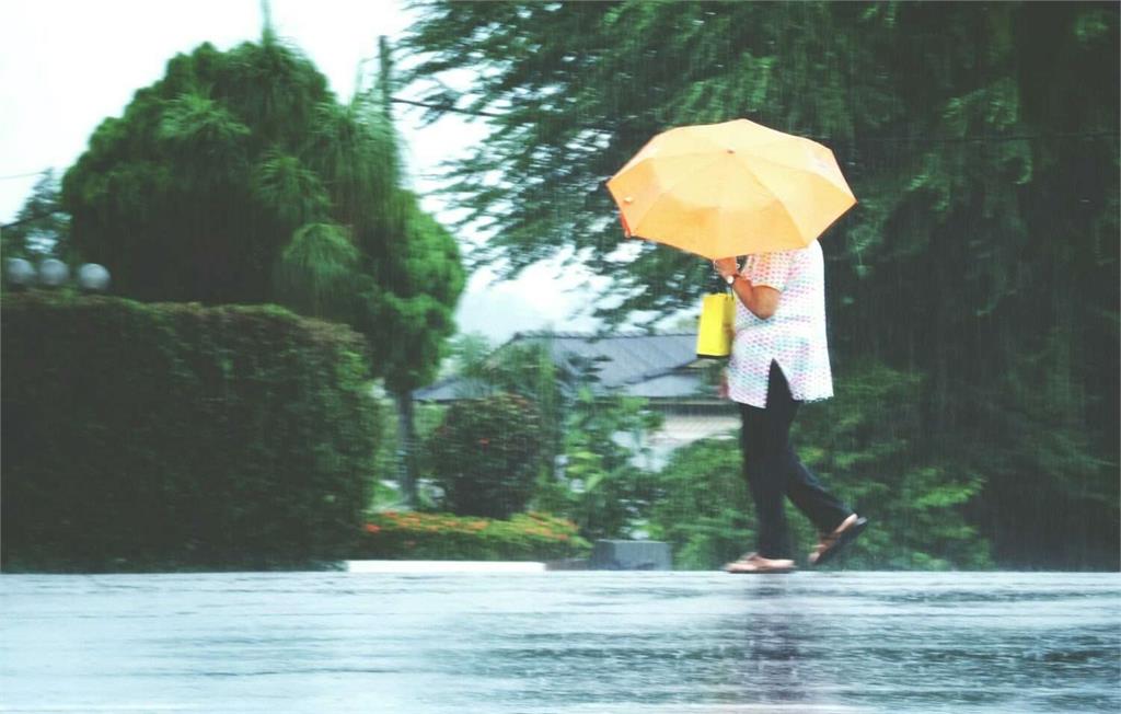 「沙德爾」復活明起逼近台灣海峽 又1颱風生成影響曝光
