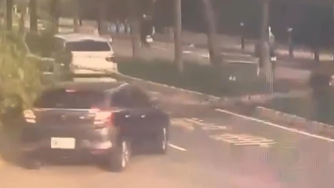 颱風鳳凰逼近！新竹颳強風「樹橫倒路中」　２車急閃驚險瞬間曝