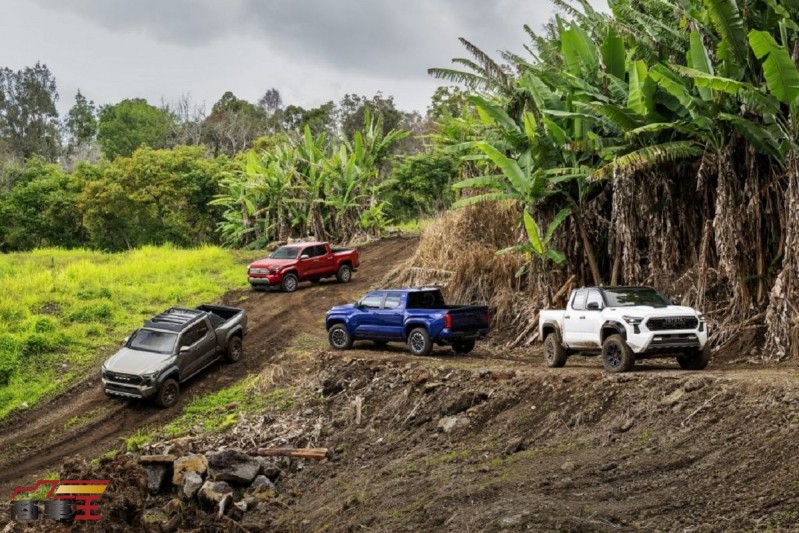 搭載 2.4T 渦輪四缸引擎　全新第四代 Toyota Tacoma 正式登場
