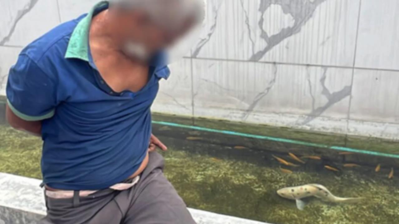 51歲男「私闖民宅」抓鯉魚幫吃！落網驚吐「曾對母狗下手」爽玩路邊娃娃