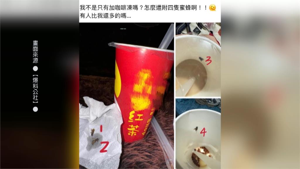 手搖飲又出包！鮮奶茶咖啡凍竟藏「4隻蜜蜂」　業者急停售