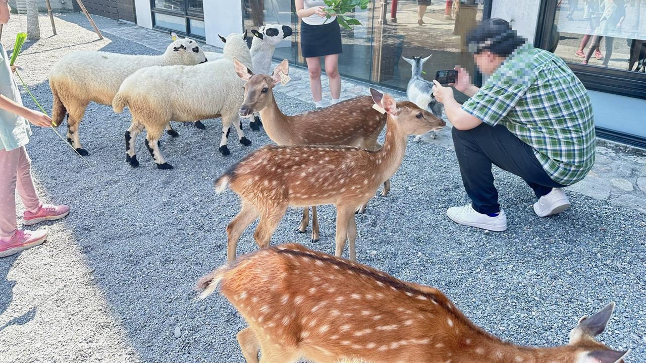 兒涉「空拍機投毒同業」遭起訴！張美阿嬤「切割聲明曝光」再爆：是巨嬰